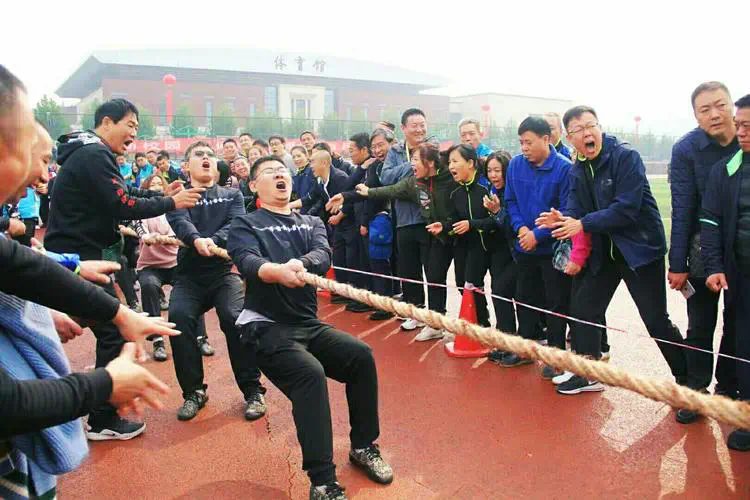便宜的乒乓球台哪里有售